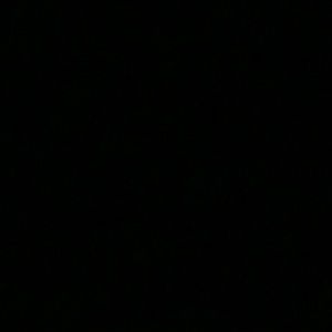 Meet your Posher, Jack